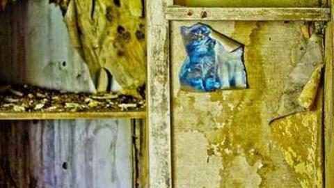 Churchill #4 - IMG_7427.jpg