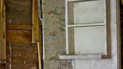 Churchill #4 - IMG_7429.jpg