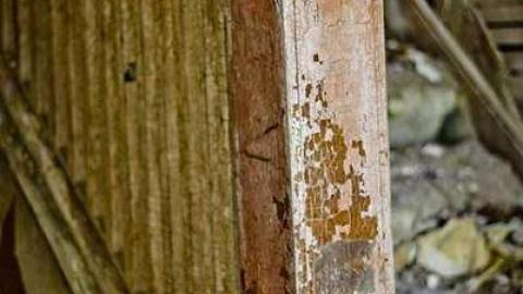 Churchill #4 - IMG_7430.jpg