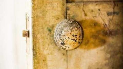 Churchill #4 - IMG_7433.jpg