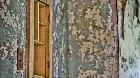 Churchill #4 - IMG_7438.jpg