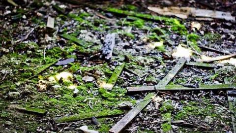 Churchill #4 - IMG_7441.jpg