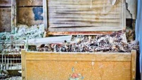 Churchill #4 - IMG_7442.jpg