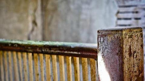 Churchill #4 - IMG_7446.jpg