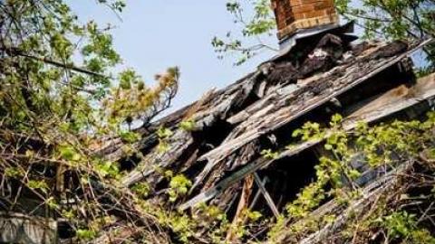 Churchill #4 - IMG_7450.jpg