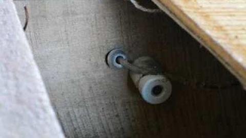 May/13 - DSC_0896.jpg