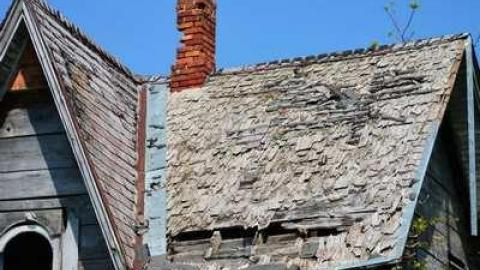 May/13 - DSC_0923.jpg