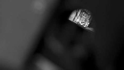 Motelevision  - Andrews-Motel72.jpg