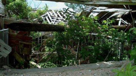 Gallery - Feed-Barn-and-Stable14.jpg