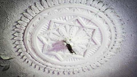 Photo from House Of Couches