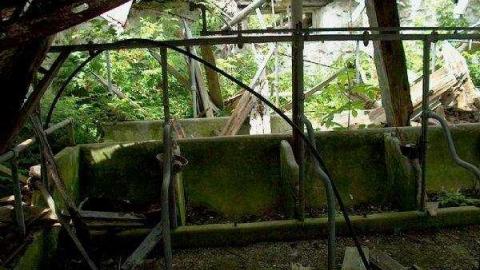 Gallery - Feed-Barn-and-Stable18.jpg