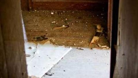 House Of Couches - 8th-Line-Farm140.jpg