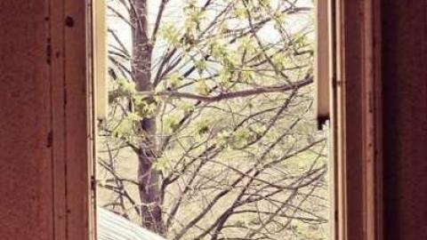 House Of Couches - 8th-Line-Farm141.jpg