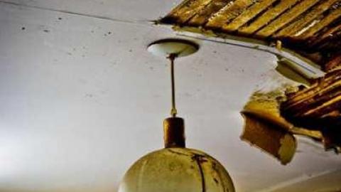 House Of Couches - 8th-Line-Farm142.jpg