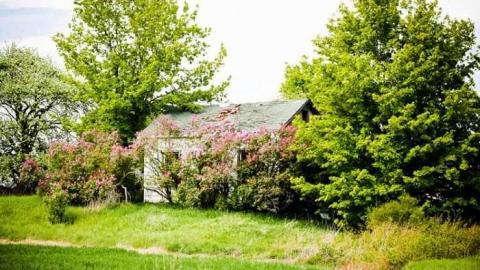 Dublin - IMG_7573.jpg