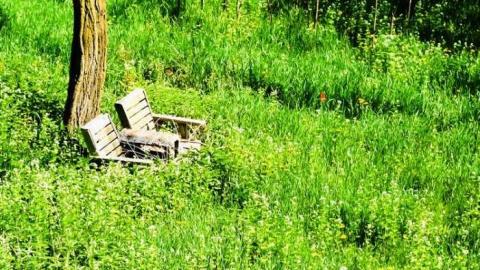 May 2013 - Limehouse-Farm121.jpg