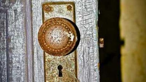 Poor Cat - Skinny-the-Cat-Lives-Here37.jpg