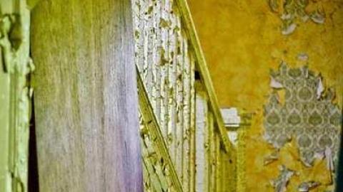 Poor Cat - Skinny-the-Cat-Lives-Here39.jpg