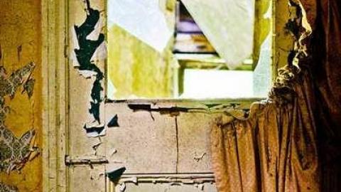 Poor Cat - Skinny-the-Cat-Lives-Here42.jpg