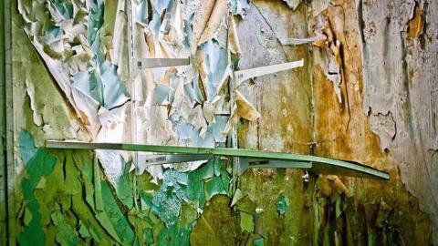 Poor Cat - Skinny-the-Cat-Lives-Here43.jpg