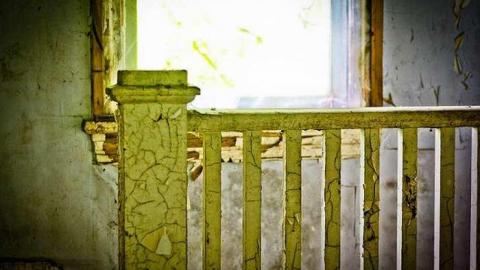 Poor Cat - Skinny-the-Cat-Lives-Here45.jpg