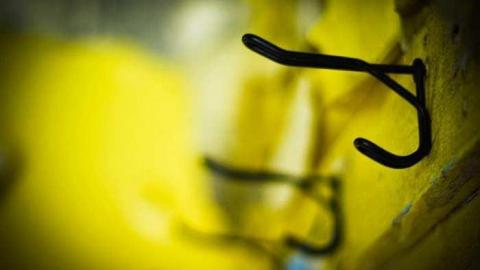 Poor Cat - Skinny-the-Cat-Lives-Here46.jpg