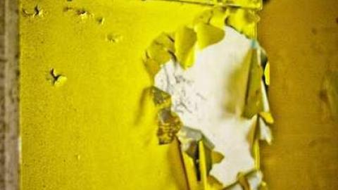 Poor Cat - Skinny-the-Cat-Lives-Here47.jpg