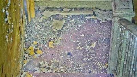 Poor Cat - Skinny-the-Cat-Lives-Here48.jpg