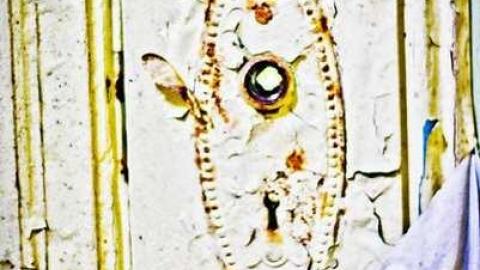 Poor Cat - Skinny-the-Cat-Lives-Here49.jpg