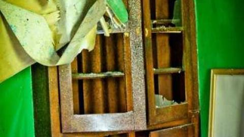 Poor Cat - Skinny-the-Cat-Lives-Here50.jpg