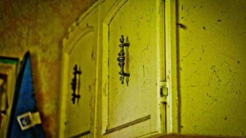 Poor Cat - Skinny-the-Cat-Lives-Here51.jpg