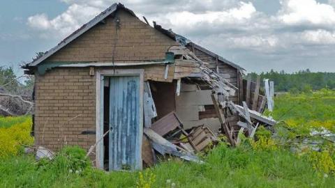 So many trunks - Death-in-the-Mirror19.jpg