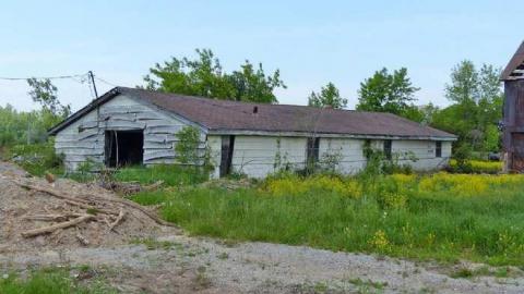 So many trunks - Death-in-the-Mirror3.jpg