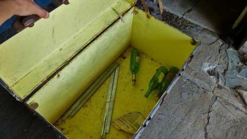 So many trunks - Death-in-the-Mirror4.jpg