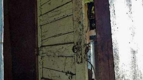 So many trunks - Death-in-the-Mirror21.jpg