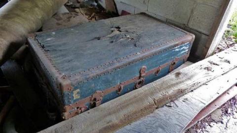 So many trunks - Death-in-the-Mirror5.jpg