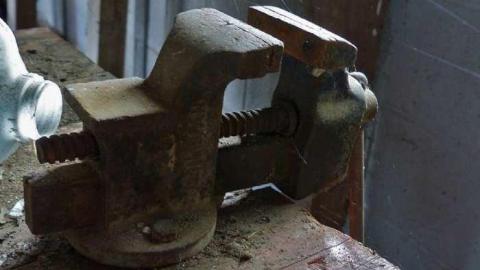 So many trunks - Death-in-the-Mirror23.jpg