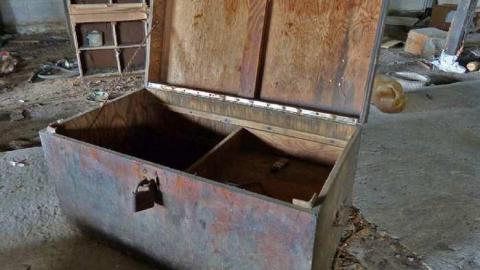 So many trunks - Death-in-the-Mirror8.jpg