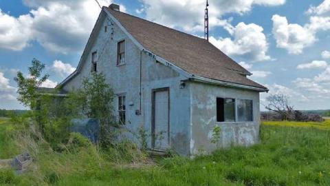 So many trunks - Death-in-the-Mirror24.jpg