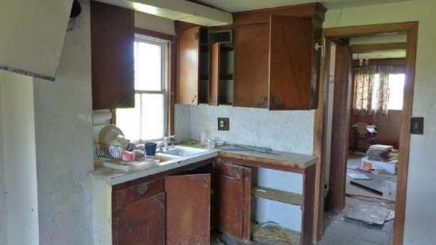 So many trunks - Death-in-the-Mirror25.jpg