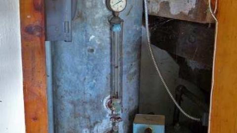 So many trunks - Death-in-the-Mirror11.jpg