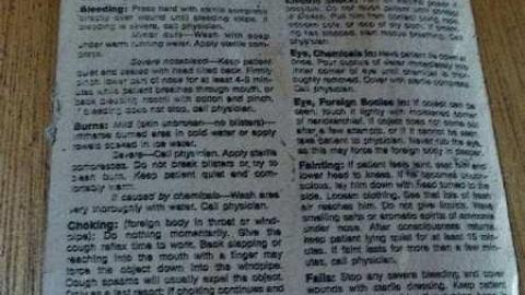 So many trunks - Death-in-the-Mirror26.jpg