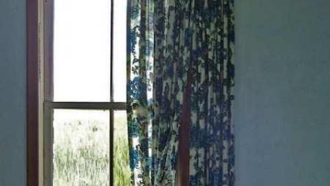 So many trunks - Death-in-the-Mirror27.jpg