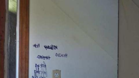 So many trunks - Death-in-the-Mirror15.jpg