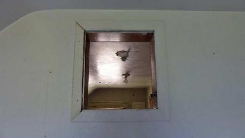 So many trunks - Death-in-the-Mirror16.jpg