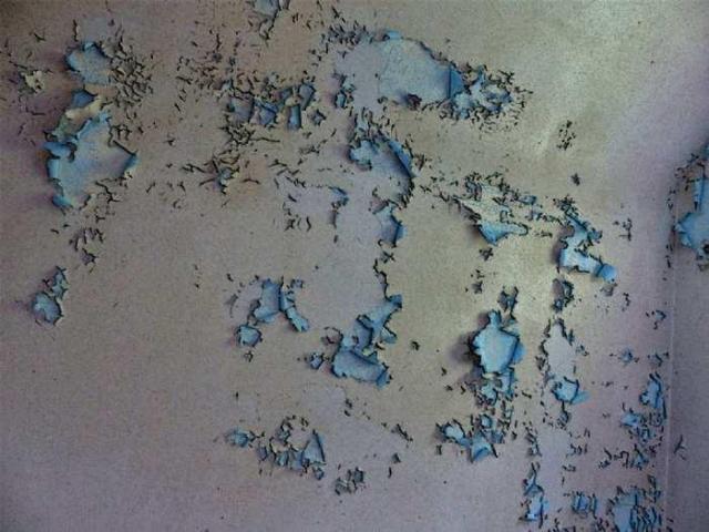 Death in the Mirror photo 4