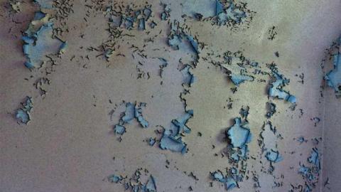 So many trunks - Death-in-the-Mirror17.jpg