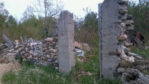 Photo from Josephine