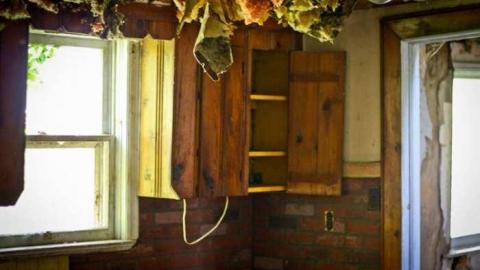 May 2013 - IMG_7382.jpg