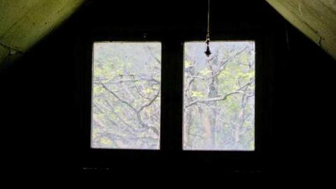 May 2013 - IMG_7391.jpg